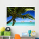 Sailboat In Turquoise Waters Wall Mural