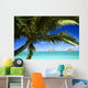 Sailboat In Turquoise Waters Wall Mural
