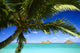 Sailboat In Turquoise Waters Wall Mural