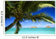 Sailboat In Turquoise Waters Wall Mural