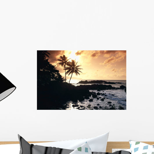 Rocky Shoreline With Palms Silhouetted At Sunset Wall Mural