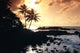 Rocky Shoreline With Palms Silhouetted At Sunset Wall Mural