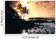 Rocky Shoreline With Palms Silhouetted At Sunset Wall Mural