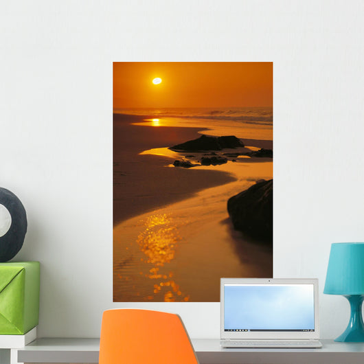 Reflections Wall Mural