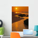 Reflections Wall Mural