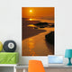 Reflections Wall Mural