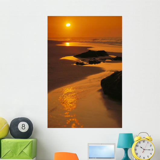 Reflections Wall Mural
