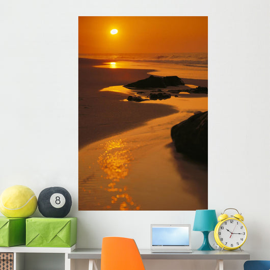 Reflections Wall Mural
