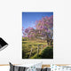 Hawaii, Maui, Upcountry With Jacaranda Tree, Blue Skies, And Fence Wall Mural