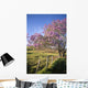 Hawaii, Maui, Upcountry With Jacaranda Tree, Blue Skies, And Fence Wall Mural