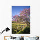 Hawaii, Maui, Upcountry With Jacaranda Tree, Blue Skies, And Fence Wall Mural