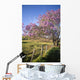 Hawaii, Maui, Upcountry With Jacaranda Tree, Blue Skies, And Fence Wall Mural