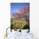 Hawaii, Maui, Upcountry With Jacaranda Tree, Blue Skies, And Fence Wall Mural