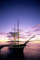 Yellow And Purple Skies Wall Mural