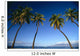Boats Anchored In Ocean Distant Wall Mural