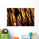 Hawaii, Molokai, Kapuaiwa Coconut Grove, Trees Silhouetted At Sunset Wall Mural