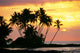 Calm Ocean Waters Wall Mural