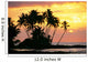 Calm Ocean Waters Wall Mural