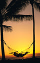 Silhouetted Couple Laying In Hammock On Beach At Sunset, Palm Trees Wall Mural