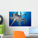 Hawaii, Day Octopus In Midwater, Underside With Sun Shining Through Wall Mural
