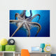 Hawaii, Day Octopus In Midwater, Underside With Sun Shining Through Wall Mural