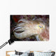 Indonesia, Cuttlefish Close-Up Side View With Eye Closed Wall Mural