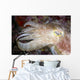 Indonesia, Cuttlefish Close-Up Side View With Eye Closed Wall Mural