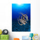 Hawaii, Day Octopus Floating To Reef Bottom, Sunburst Wall Mural