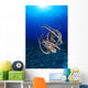 Hawaii, Day Octopus Floating To Reef Bottom, Sunburst Wall Mural