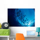 Galapagos Islands, Schooling Cownose Rays Sunburst Wall Mural