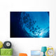 Galapagos Islands, Schooling Cownose Rays Sunburst Wall Mural