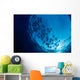 Galapagos Islands, Schooling Cownose Rays Sunburst Wall Mural