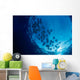 Galapagos Islands, Schooling Cownose Rays Sunburst Wall Mural
