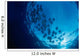 Galapagos Islands, Schooling Cownose Rays Sunburst Wall Mural