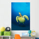 Hawaii, Green Sea Turtle Swims To Surface, View Of Underside Wall Mural
