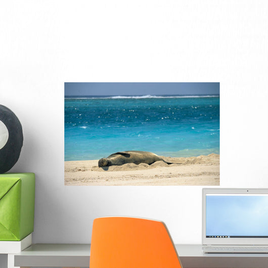 Turquoise Ocean Background Wall Mural