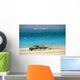 Turquoise Ocean Background Wall Mural