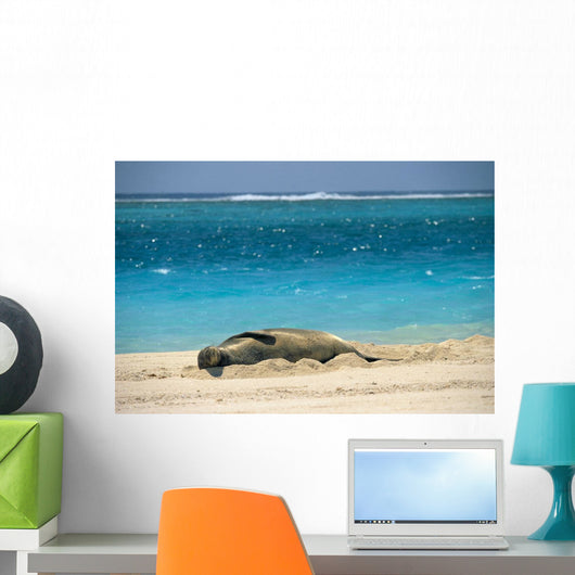 Turquoise Ocean Background Wall Mural