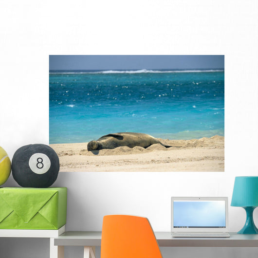 Turquoise Ocean Background Wall Mural