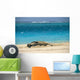 Turquoise Ocean Background Wall Mural