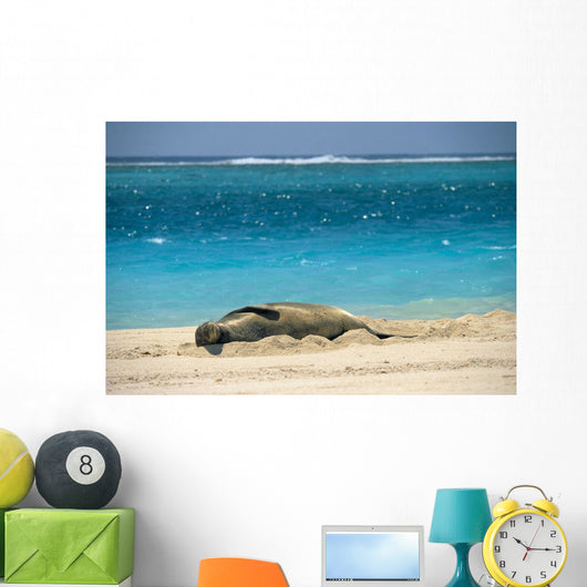 Turquoise Ocean Background Wall Mural