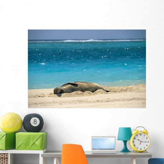 Turquoise Ocean Background Wall Mural