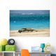 Turquoise Ocean Background Wall Mural