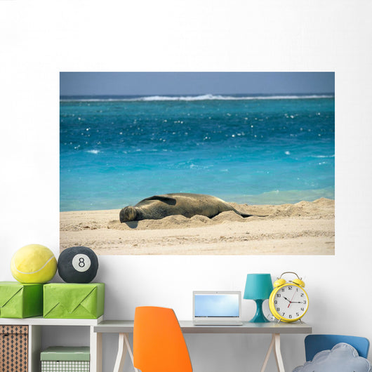 Turquoise Ocean Background Wall Mural