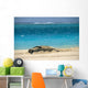 Turquoise Ocean Background Wall Mural