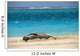 Turquoise Ocean Background Wall Mural