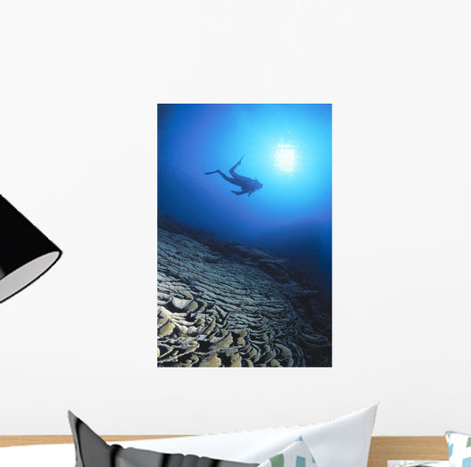 Silhouetted By Sunburst In Blue Ocean Wall Mural