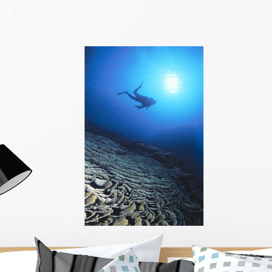 Silhouetted By Sunburst In Blue Ocean Wall Mural
