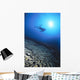 Silhouetted By Sunburst In Blue Ocean Wall Mural