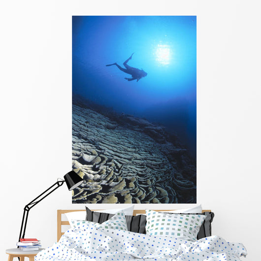 Silhouetted By Sunburst In Blue Ocean Wall Mural
